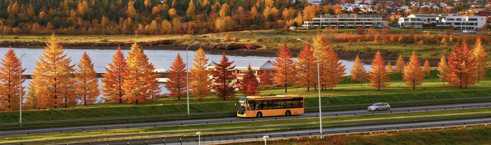 Vehicle export logistics service - Bloom Supply Chain