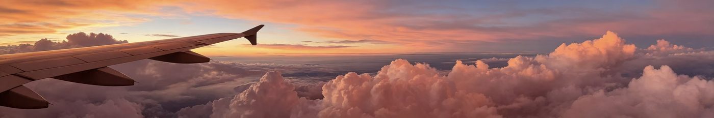 Air transportation logistics and freight