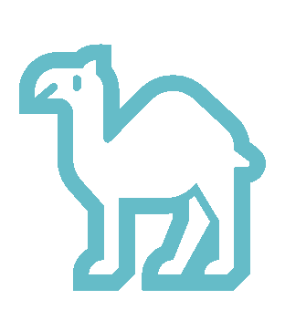 Camel — Middle East and Africa