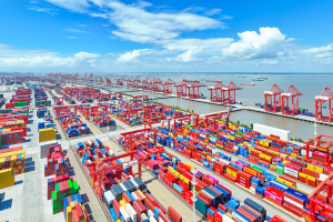 A Complete Guide to FCL Container Shipping: Definition, Benefits & Our Logistics Solutions