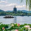 Luxury Yangtze Delta: Shanghai Suzhou Hangzhou | 5-Day Premium Tour