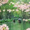 Jiangnan Uncovered: 5-Day Deep Cultural & Local Life Retreat | Hangzhou & Shaoxing