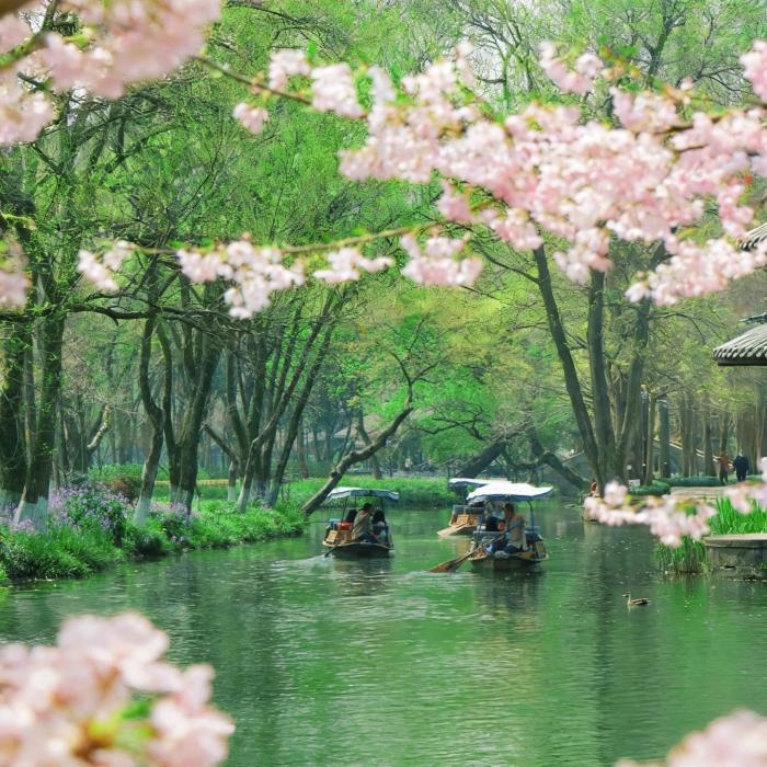 Jiangnan Uncovered: 5-Day Deep Cultural & Local Life Retreat | Hangzhou & Shaoxing