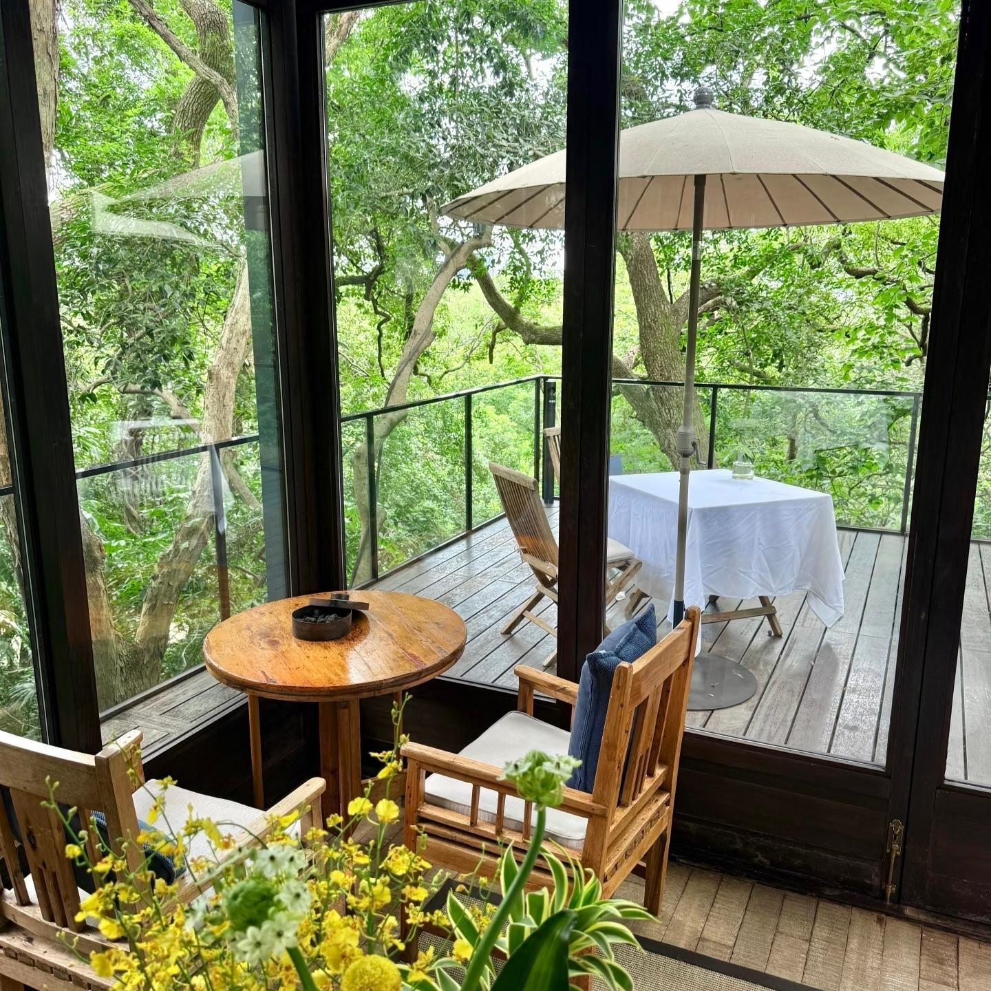 Wuzhen's Water Pavilions & Morning Tea