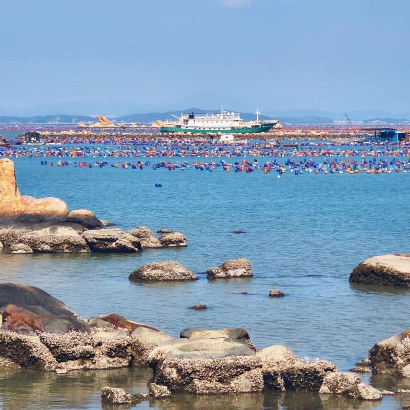 Arrive and transfer to Nan'ao Island. Drive across the spectacular Nan'ao Bridge. Visit the Tropic of Cancer Monument. Check into a sea-view hotel. Dinner: Fresh island seafood.