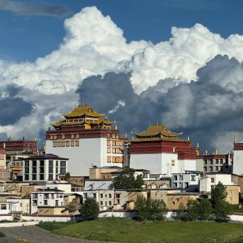 Yunnan Tea Horse Road & Glacier Geology Retreat: 6-Day Cultural Study Tour