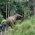 Xishuangbanna Wild Elephant Camp | 5-Day Family Rainforest Adventure Nature Education
