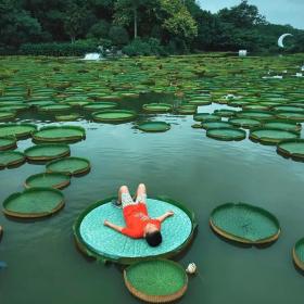 Xishuangbanna Wild Elephant Camp | 5-Day Family Rainforest Adventure Nature Education