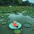 Xishuangbanna Wild Elephant Camp | 5-Day Family Rainforest Adventure Nature Education