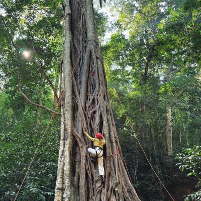 Xishuangbanna Wild Elephant Camp | 5-Day Family Rainforest Adventure Nature Education