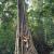 Xishuangbanna Wild Elephant Camp | 5-Day Family Rainforest Adventure Nature Education
