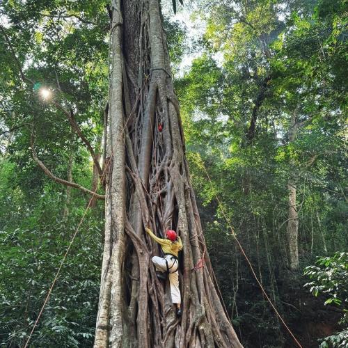 Xishuangbanna Wild Elephant Camp | 5-Day Family Rainforest Adventure Nature Education