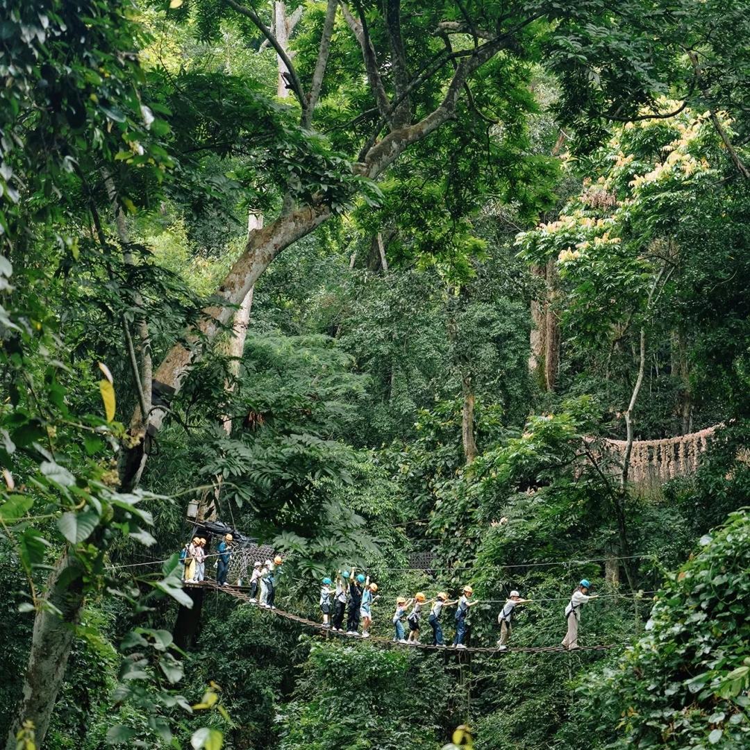 Jino Mountain Rainforest Trekking — Nature's Classroom