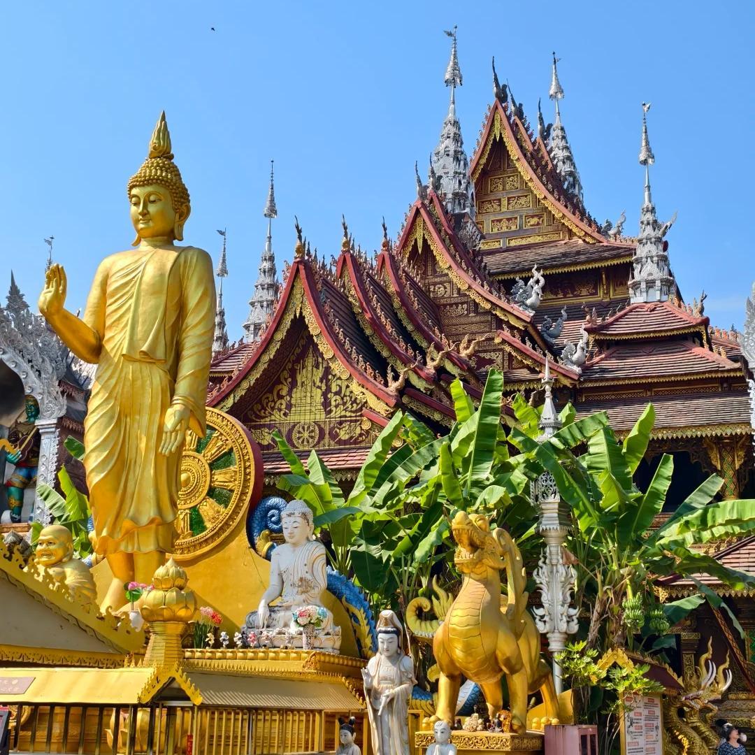 Explore the royal gardens of ancient Dai kings, visit the sacred General Buddhist Temple, then capture your family's highlight moment at the Starlight Night Market with professional photoshoot before departure.