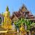Xishuangbanna Wild Elephant Camp | 5-Day Family Rainforest Adventure Nature Education
