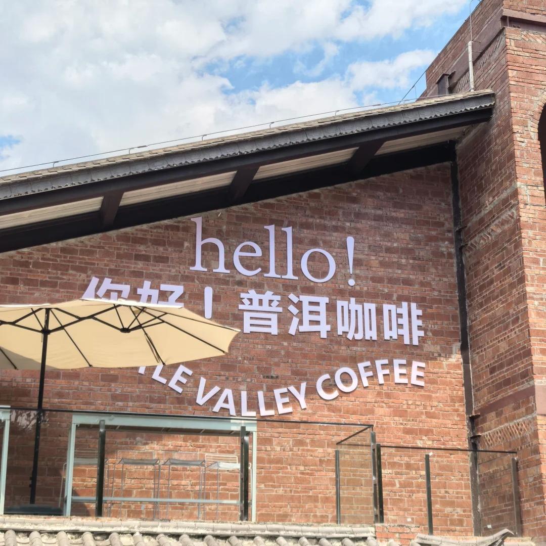 China's Coffee Capital — Pu'er Estate Immersion