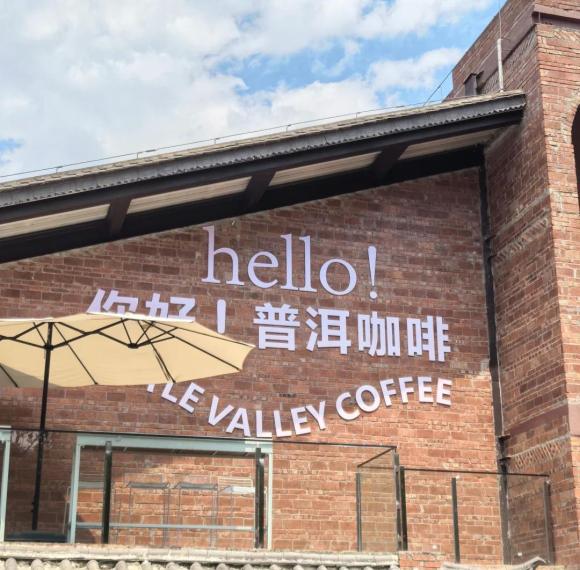 Yunnan Coffee & Wine Estate Retreat | 4-Day Pu'er & Mile Artisan Experience