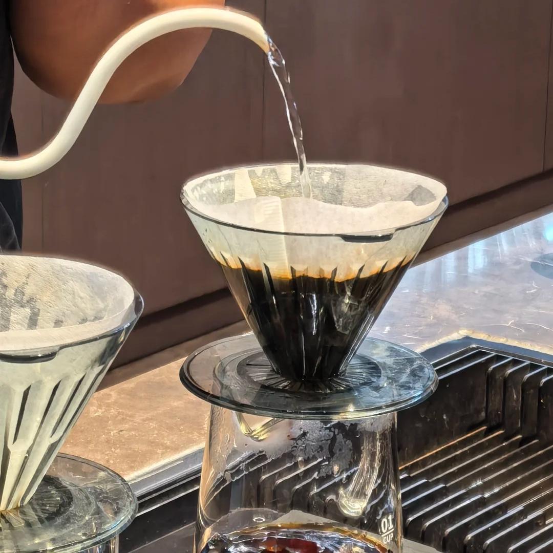 Pu'er Coffee — From Terroir to Export