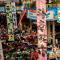 Yunnan Agriculture & Trade Mission | 5-Day Flower Auction & Coffee Supply Chain Source Business Trip
