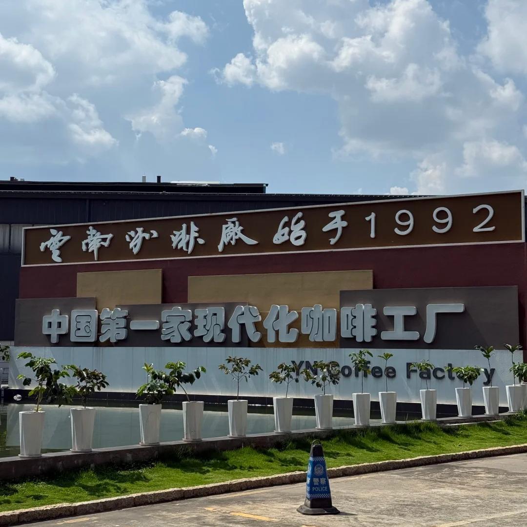 Day 3 is customized based on your procurement focus. Option A dives deep into Pu'er coffee estates and export processing. Option B explores Wenshan Notoginseng's trading center and planting bases.