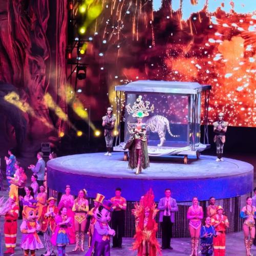 Chimelong Family Ocean Animal Journey | 5 Days, 4 Nights Guangzhou Zhuhai Dual Park Adventure
