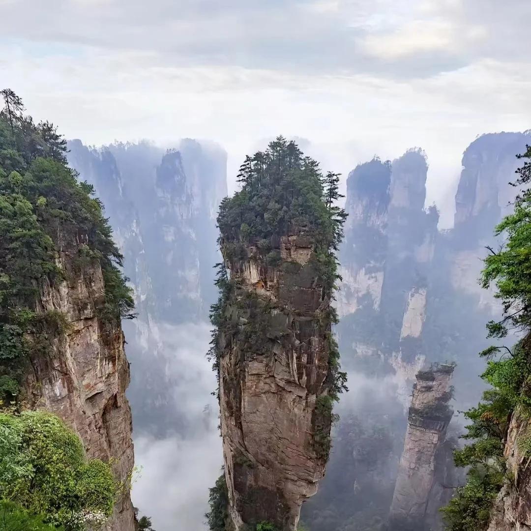 Head to Zhangjiajie National Forest Park in the early morning. Deep dive into Yuanjiajie, where you will find the iconic "Qiankun Pillar" - the prototype of Avatar's Hallelujah Mountain, experiencing the breathtaking floating mountain. Continue to Yangjiajie to admire the natural Great Wall's majestic terrain. In the afternoon, stroll along Jinzhang Stream, listening to Tujia folk songs while breathing in high concentrations of negative oxygen ions, experiencing the harmonious coexistence of humans and nature.
