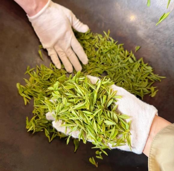 Classic Water Towns and Tea Culture: A Poetic 5-Day Journey Through Zhejiang | Wuzhen Night Tour & Longjing Tea Experience