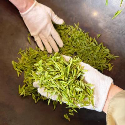 Classic Water Towns and Tea Culture: A Poetic 5-Day Journey Through Zhejiang | Wuzhen Night Tour & Longjing Tea Experience