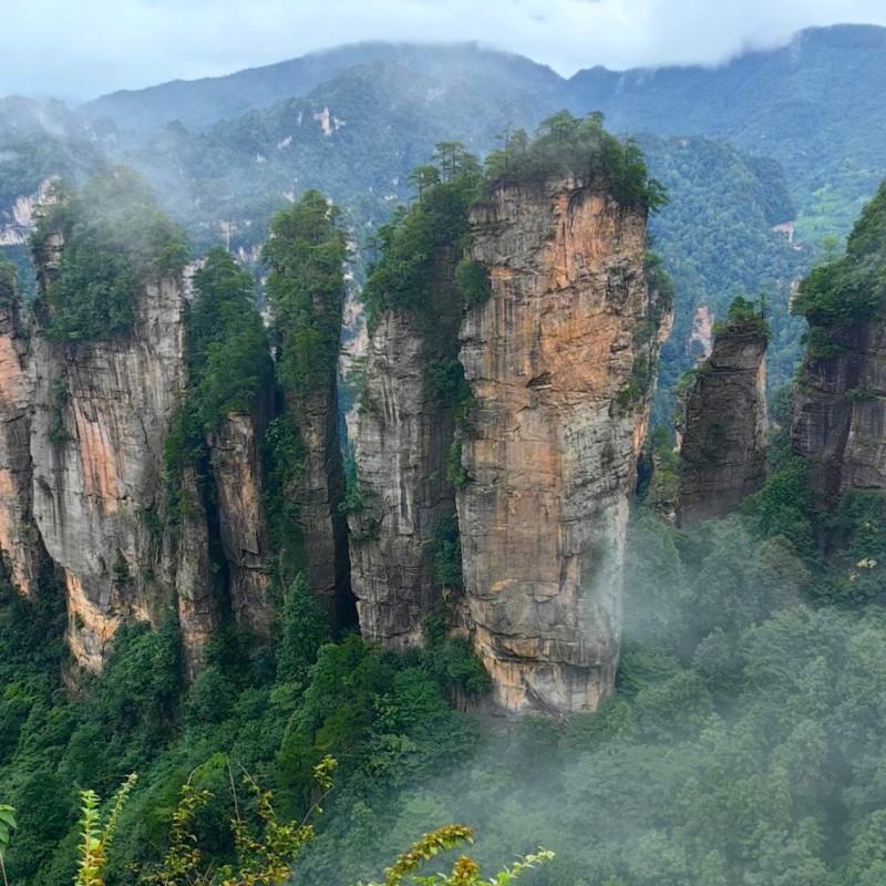 Avatar's Floating Mountains — Forest Oxygen Bath