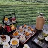 Zhejiang Wellness Journey: Hangzhou Luxury Bathhouse & West Lake Zen 5-Day Healing Tour