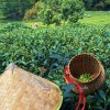 Zhejiang Wellness Journey: Hangzhou Luxury Bathhouse & West Lake Zen 5-Day Healing Tour