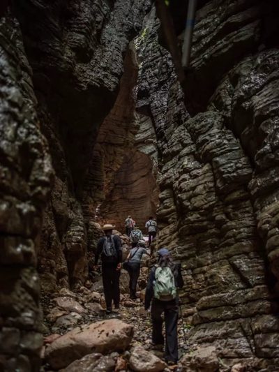 Tree descent adventure, White Tiger Valley