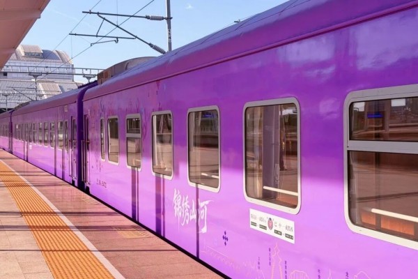 Sleeper train car exterior with ethnic pattern design