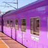 The Purple Scenic Train: New Summer Routes Through Guizhou, Sichuan & Chongqing