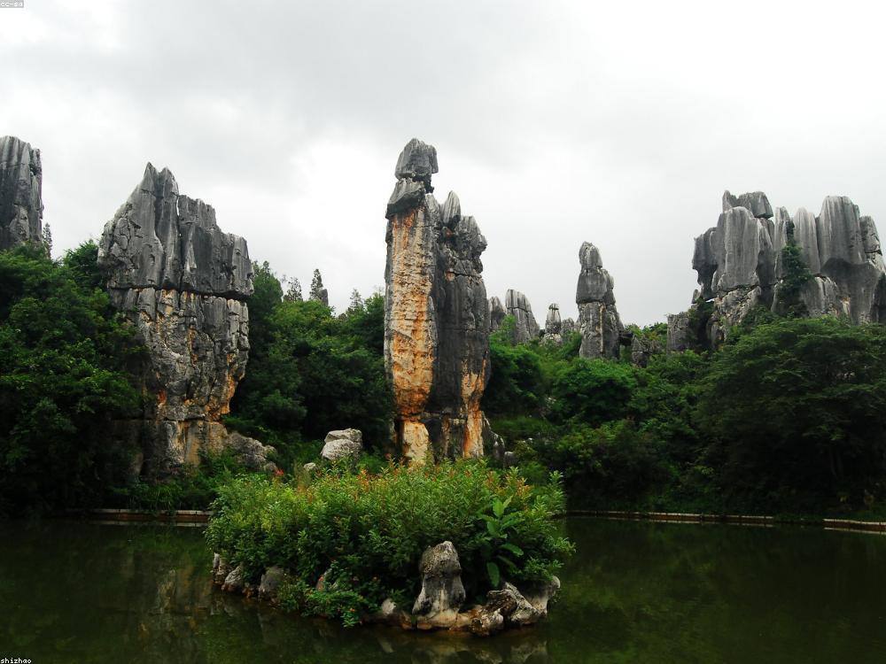 Stone Forest pillars