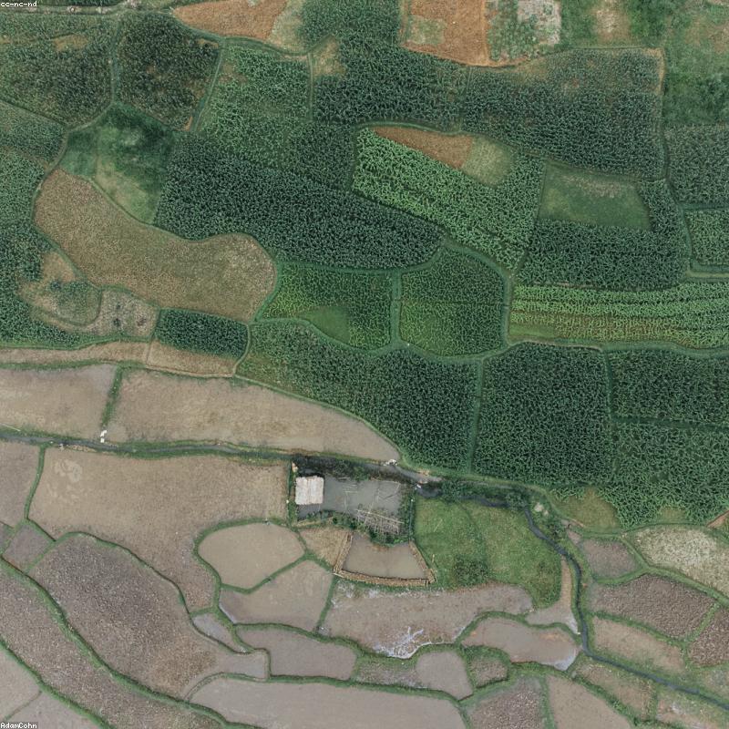 Yunnan Highland Agriculture & Trade Mission: 5-Day Sourcing & Market Insight Tour