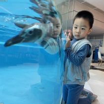 Chimelong Double Park · Family Fantasy Marine & Animal Journey: 5 Days, 4 Nights Guangzhou-Zhuhai Tw