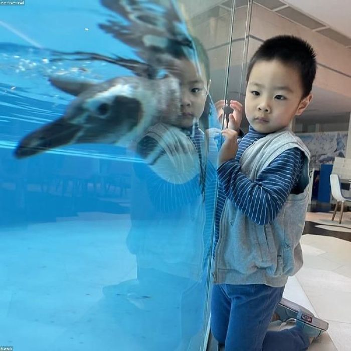 Chimelong Double Park · Family Fantasy Marine & Animal Journey: 5 Days, 4 Nights Guangzhou-Zhuhai Tw