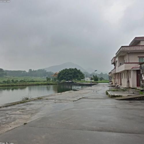 Guangdong Cinematic Trail: From 'The Knockout' Set to UNESCO Diaolou