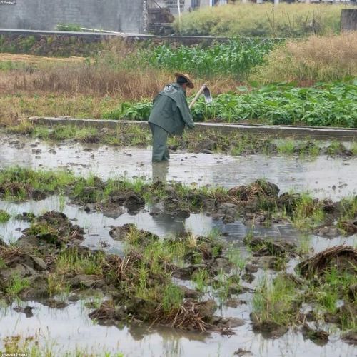 Jiangnan Secret Realm: 5-Day Family Private Slow Travel