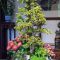 Jiangnan Secret Realm: 5-Day Family Private Slow Travel