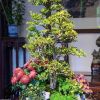 Jiangnan Secret Realm: 5-Day Family Private Slow Travel