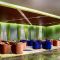 Yunnan Coffee & Wine Micro-Drunkenness Tour: 4-Day Estate Lifestyle Retreat