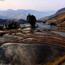 Yunnan Highland Agriculture & Trade Mission: 5-Day Sourcing & Market Insight Tour