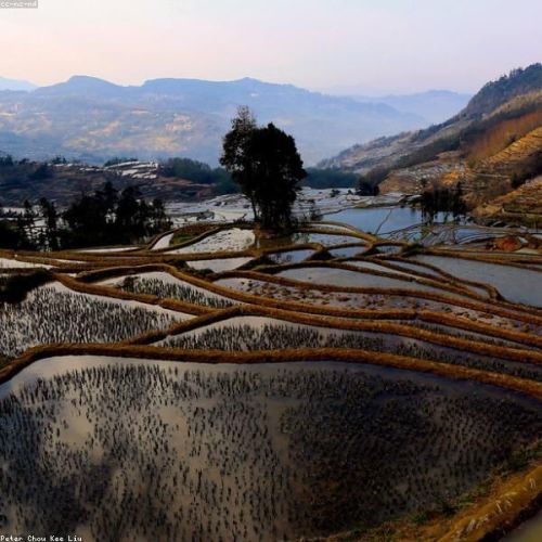 Yunnan Highland Agriculture & Trade Mission: 5-Day Sourcing & Market Insight Tour