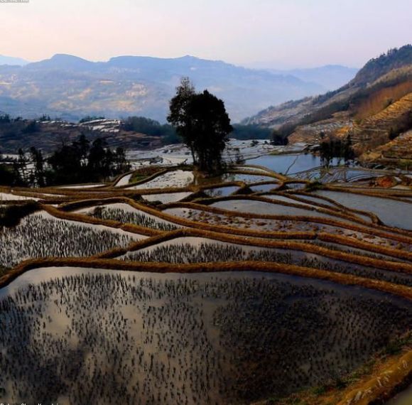 Yunnan Highland Agriculture & Trade Mission: 5-Day Sourcing & Market Insight Tour