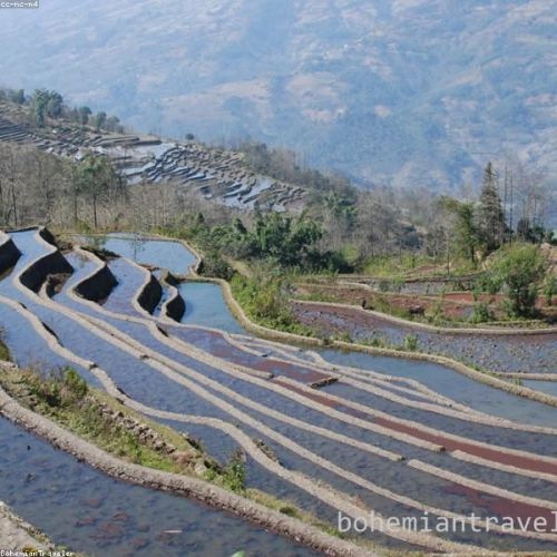 Yunnan Highland Agriculture & Trade Mission: 5-Day Sourcing & Market Insight Tour