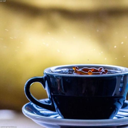 Yunnan Wild Mushroom & Imperial Cuisine Odyssey: 5-Day Foodie Private Tour
