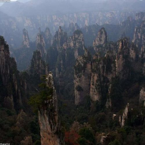 Zhangjiajie Avatar Family Camp: 4-Day Journey into the Floating Mountains