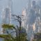 Zhangjiajie Avatar Family Camp: 4-Day Journey into the Floating Mountains